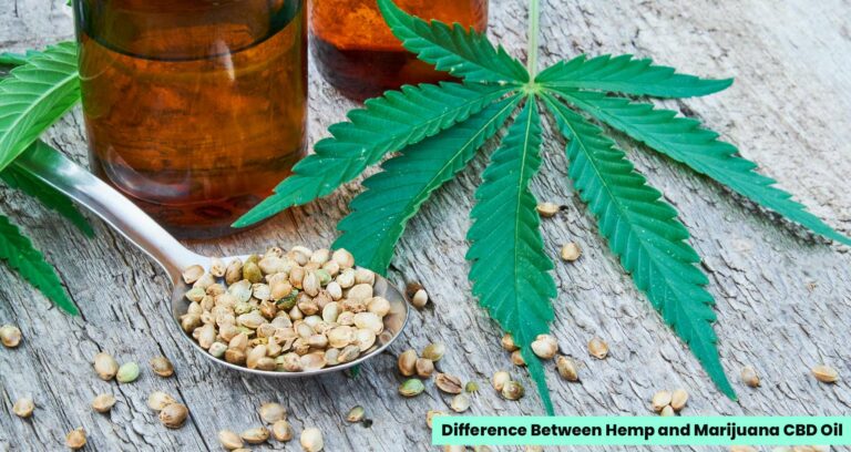 Difference Between Hemp and Marijuana CBD Oil